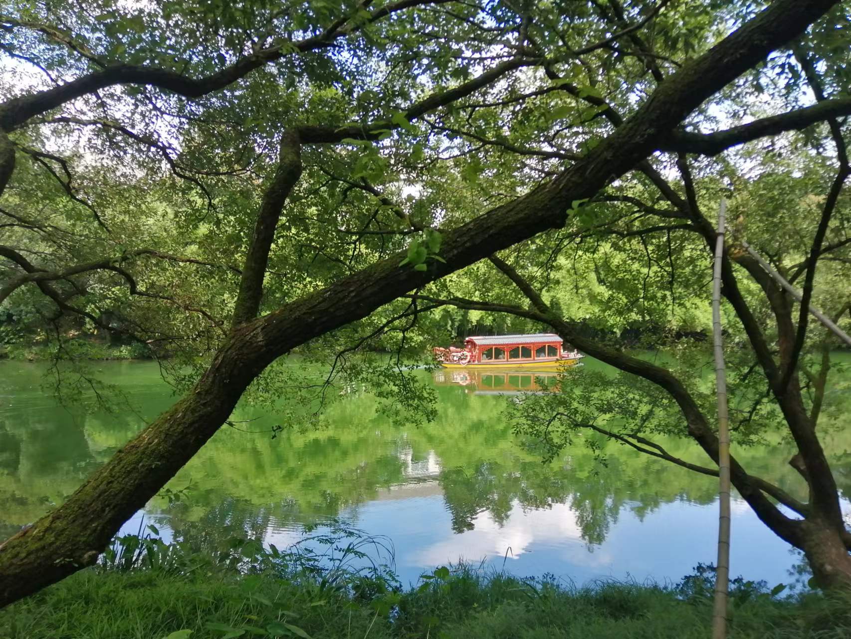 有限責任公司未必有限！天價稅單警示:公司注銷≠安全上岸！